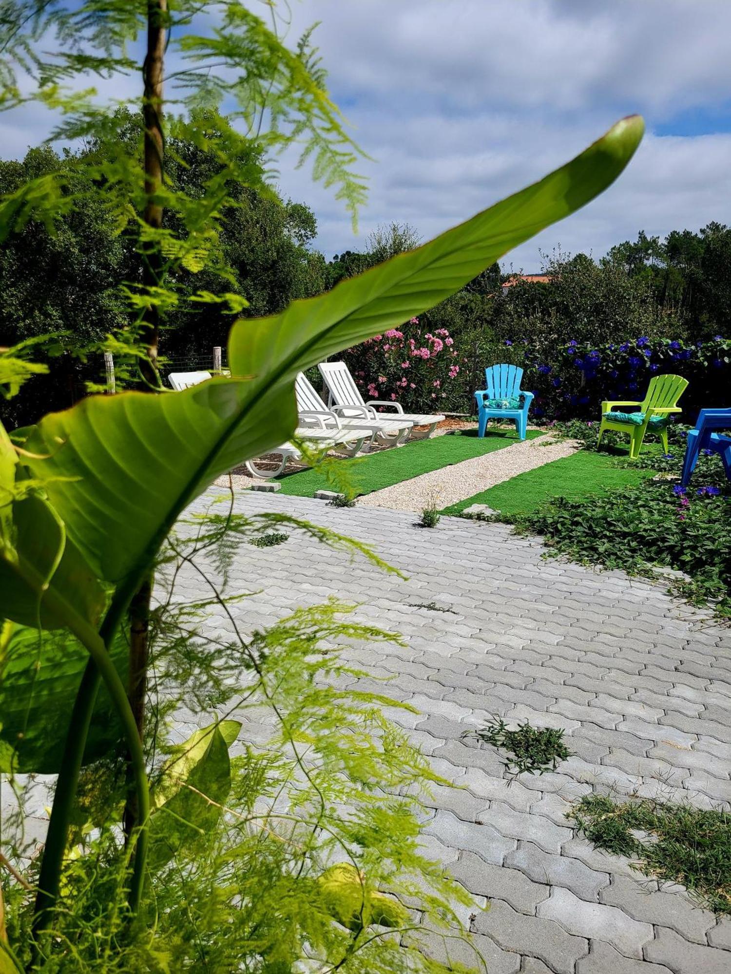 Quinta Da Choupana Hotel โตมาร์ ภายนอก รูปภาพ