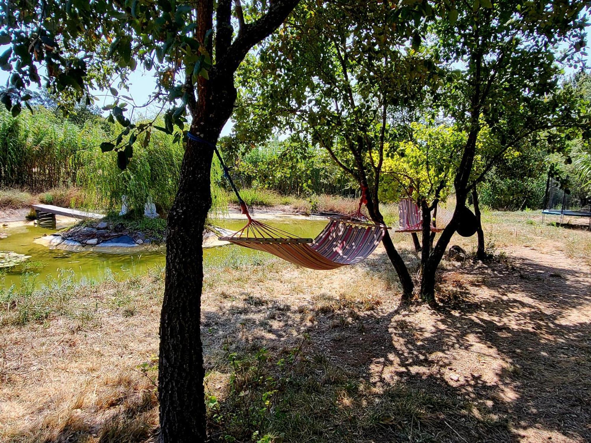 Quinta Da Choupana Hotel โตมาร์ ภายนอก รูปภาพ